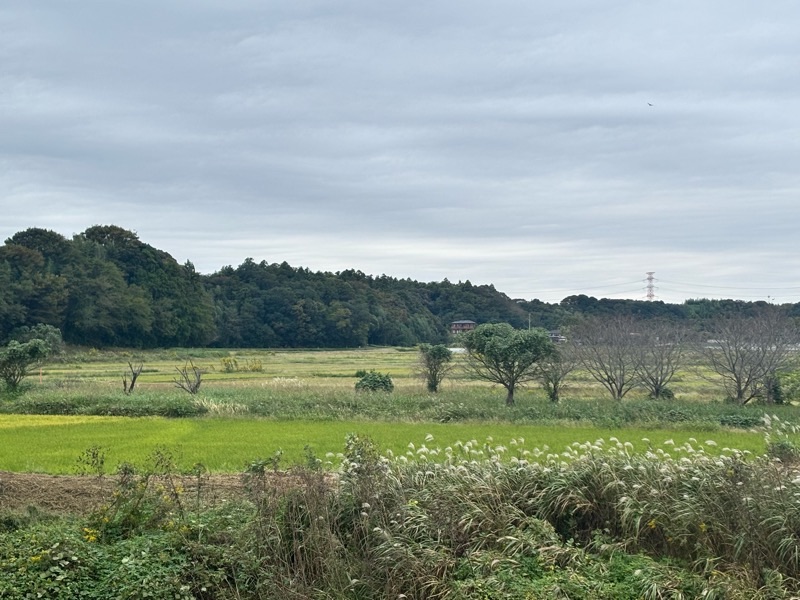 f:id:ef651065:20251021170236j:image