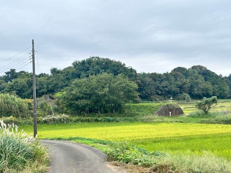 f:id:ef651065:20251021170245j:image