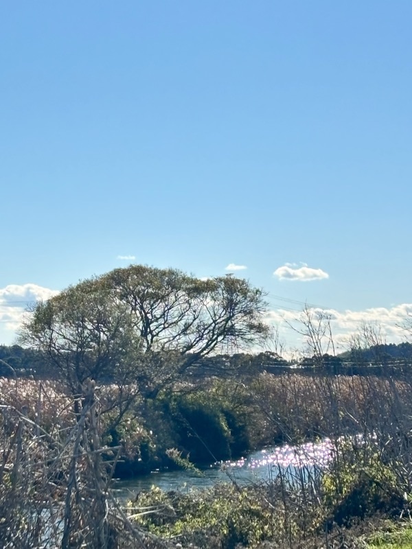 f:id:ef651065:20251204154037j:image