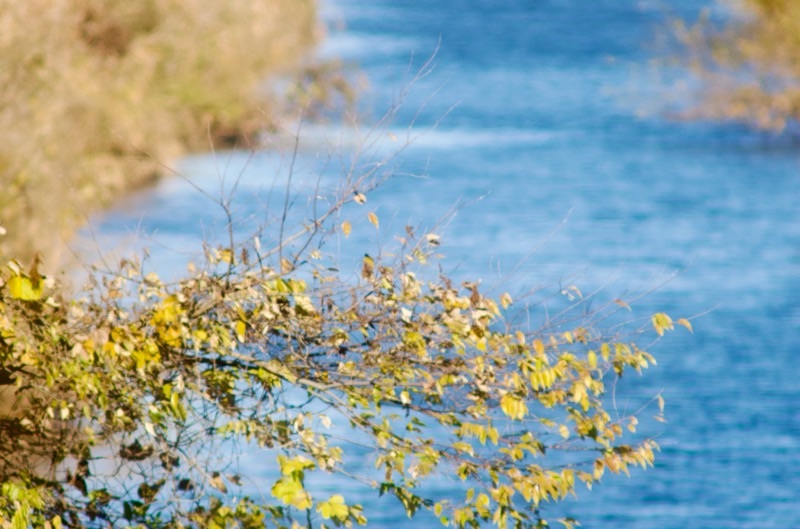 f:id:ef651065:20251204155538j:image