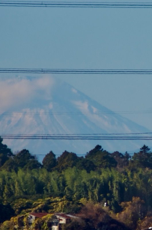 f:id:ef651065:20251204155544j:image