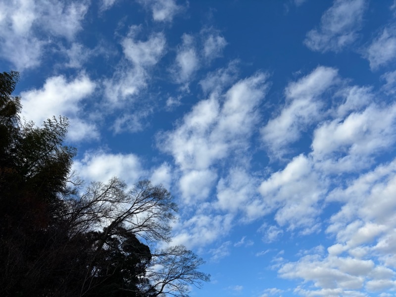 f:id:ef651065:20251216185822j:image