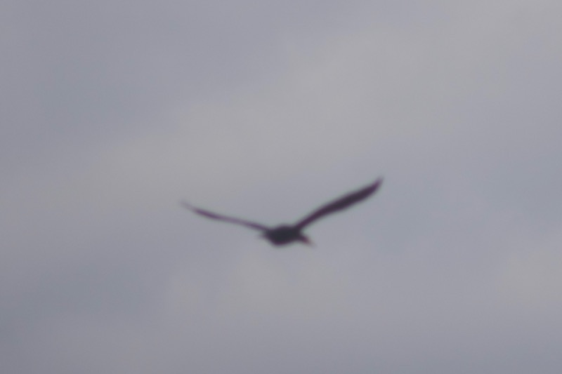 f:id:ef651065:20251216192518j:image