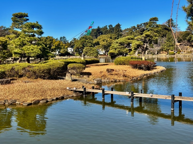 f:id:ef651065:20260114143043j:image