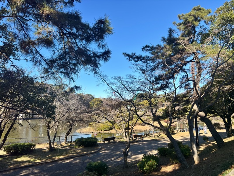 f:id:ef651065:20260114143052j:image