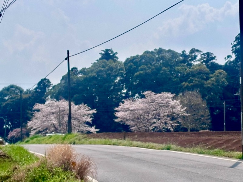 f:id:ef651065:20260403233735j:image