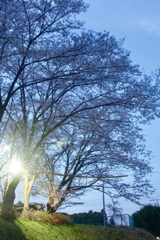 f:id:ef651065:20260403233748j:image