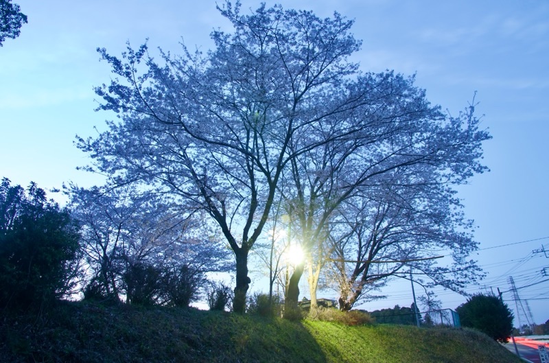 f:id:ef651065:20260403233757j:image