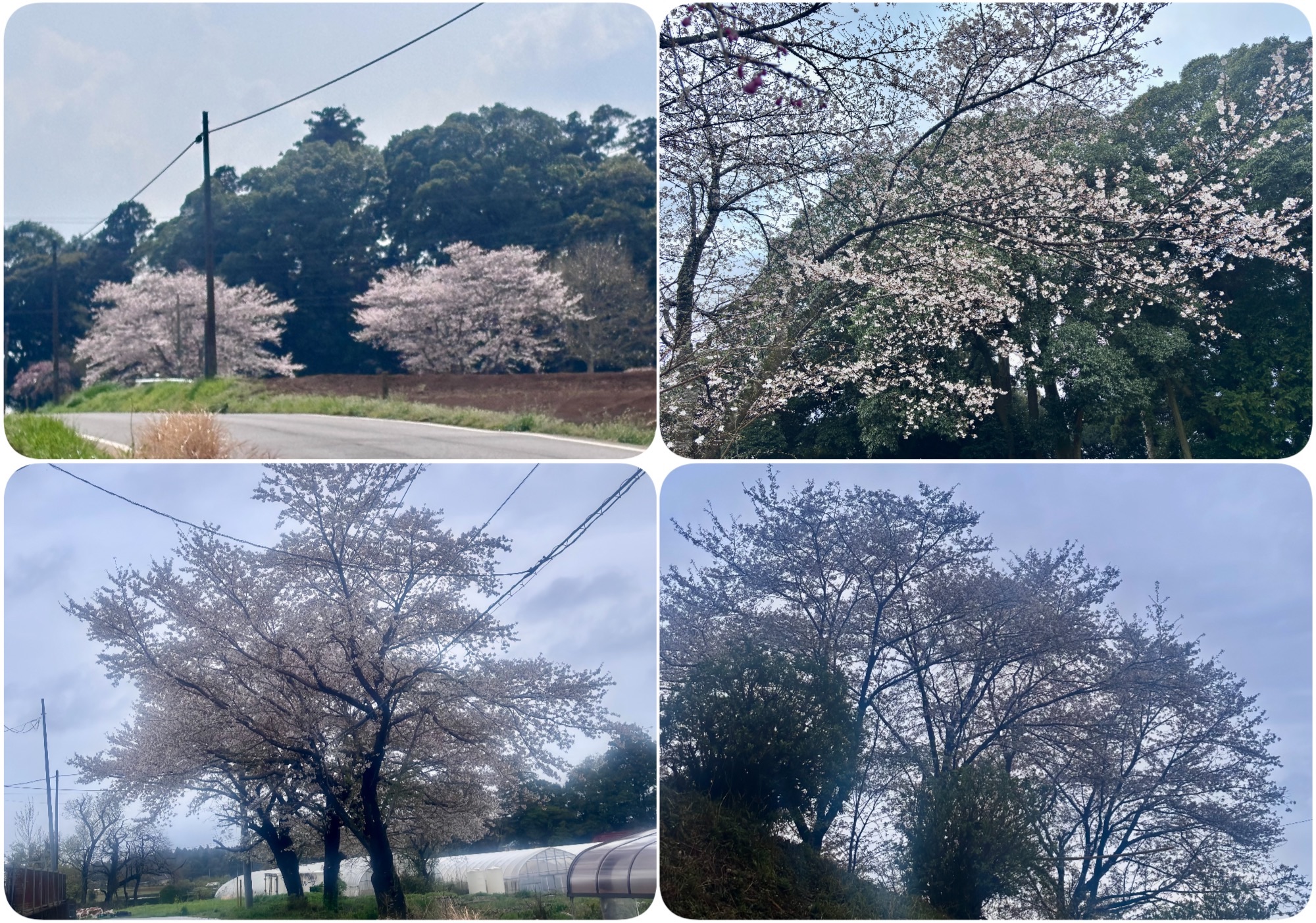 f:id:ef651065:20260405140821j:image