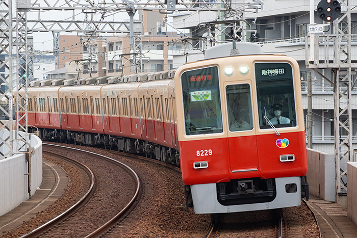 Tokina AT-X SD 100-300mm F4の試し撮り 阪神8000系 #45 - 鉄風味な
