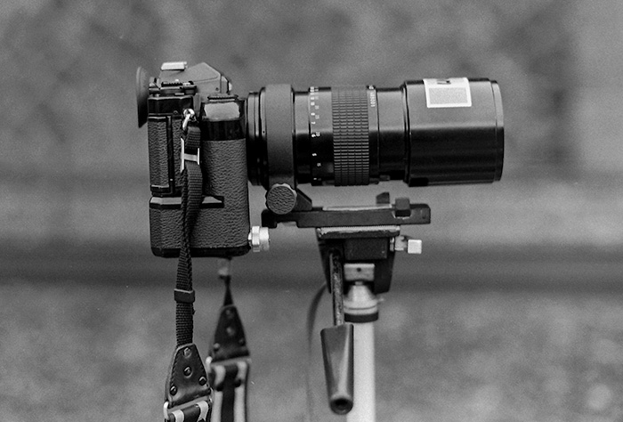 コチラが昨日貼ったヤツを撮ったNikon FE＋MD-12+Ai改 300mm F4.5です