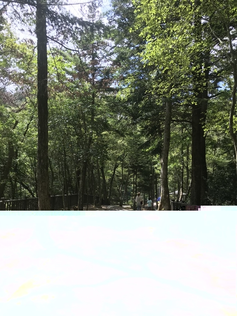 f:id:efferf:20200829161908j:plain