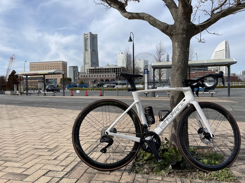 f:id:efferf:20220115155247j:plain