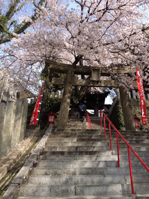 f:id:efforll:20140405194452j:image:w360