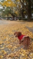f:id:efforll:20141126130054j:image:medium