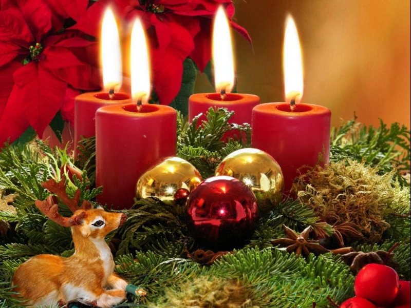 f:id:efforll:20151211140211j:image:w360