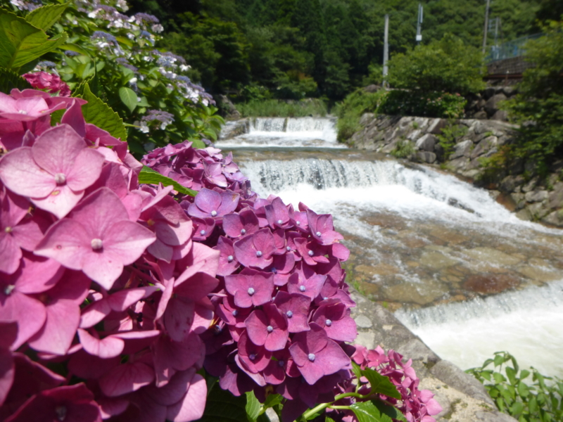 f:id:efforll:20160626135200j:image:w360 f:id:efforll:20160626135200j:image:w360