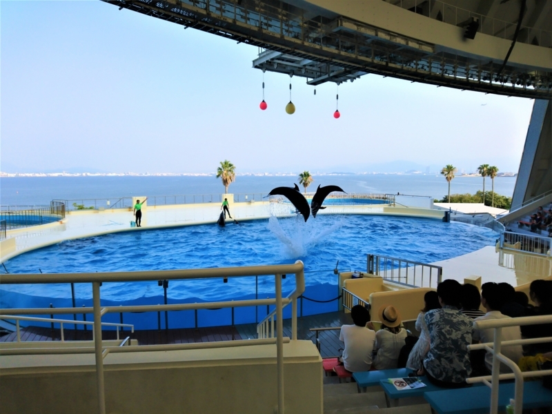 f:id:efforll:20180716172130j:image:w360