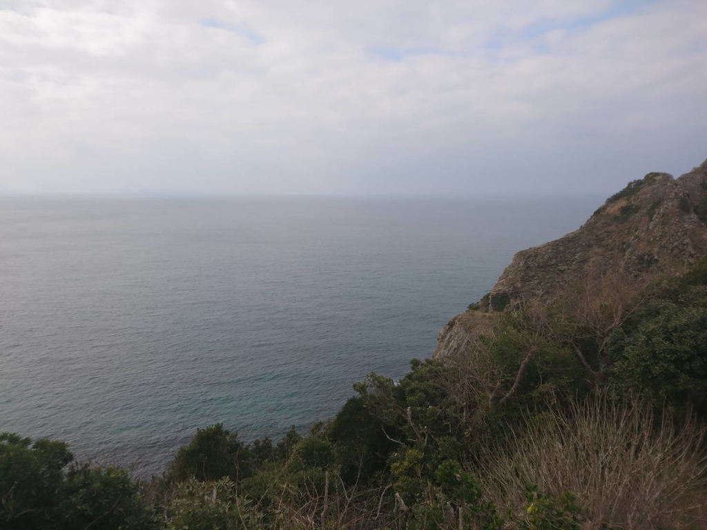 f:id:efforll:20190206155332j:plain