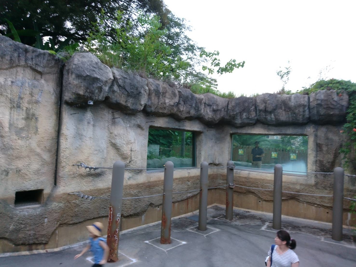 f:id:efforll:20190820161532j:plain