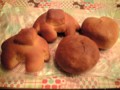 20090105194010