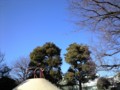 20090125131815