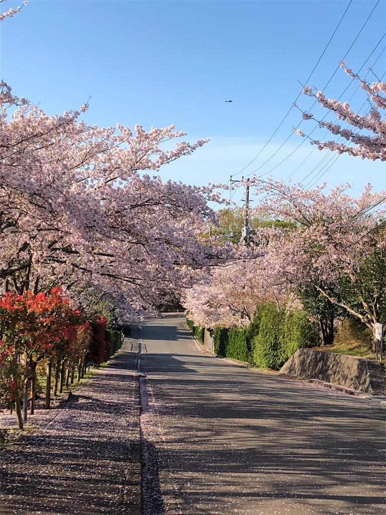 f:id:eflime:20190417150704j:image f:id:eflime:20190417150704j:image