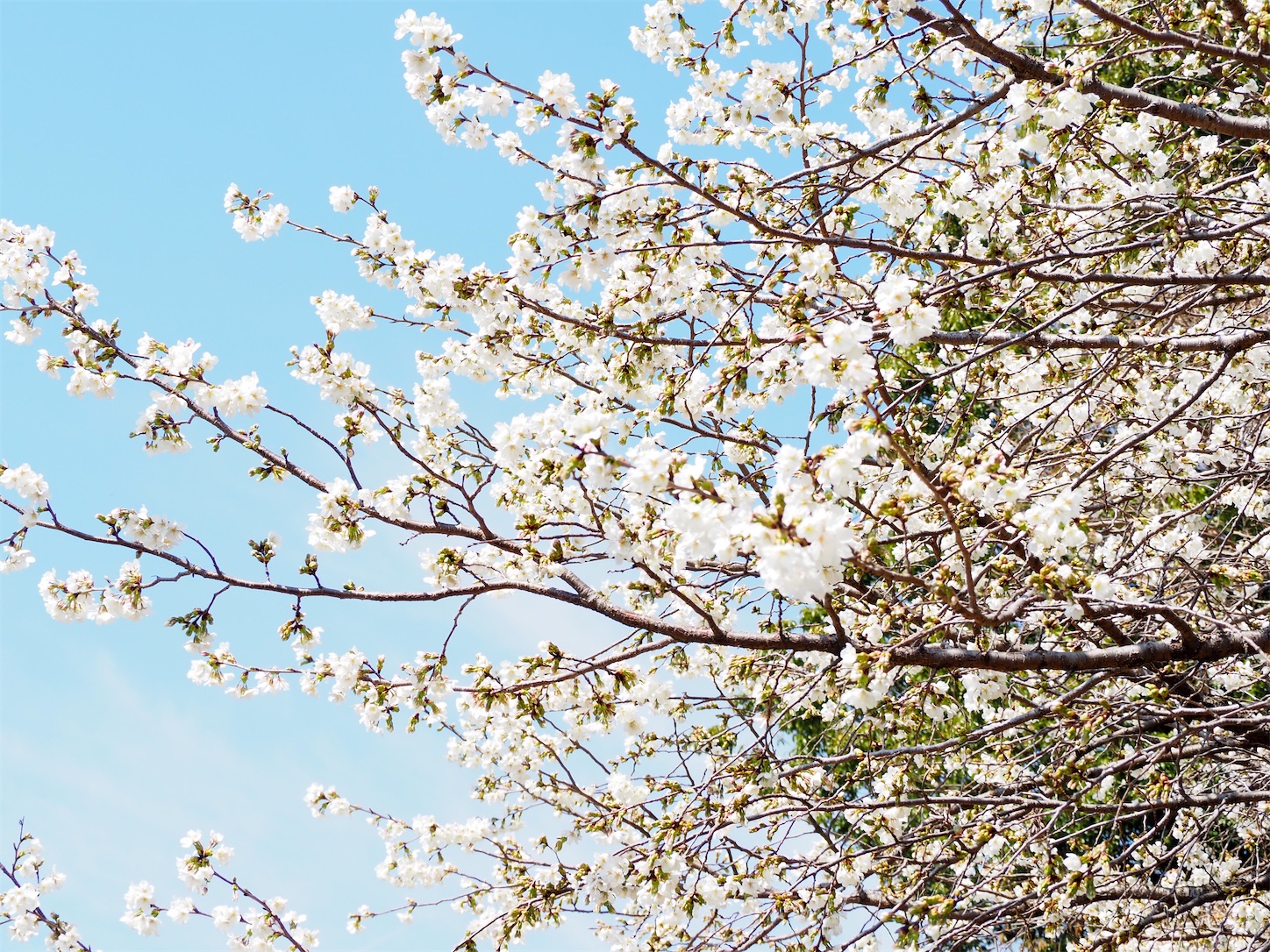 f:id:efufunet:20230319221028j:image