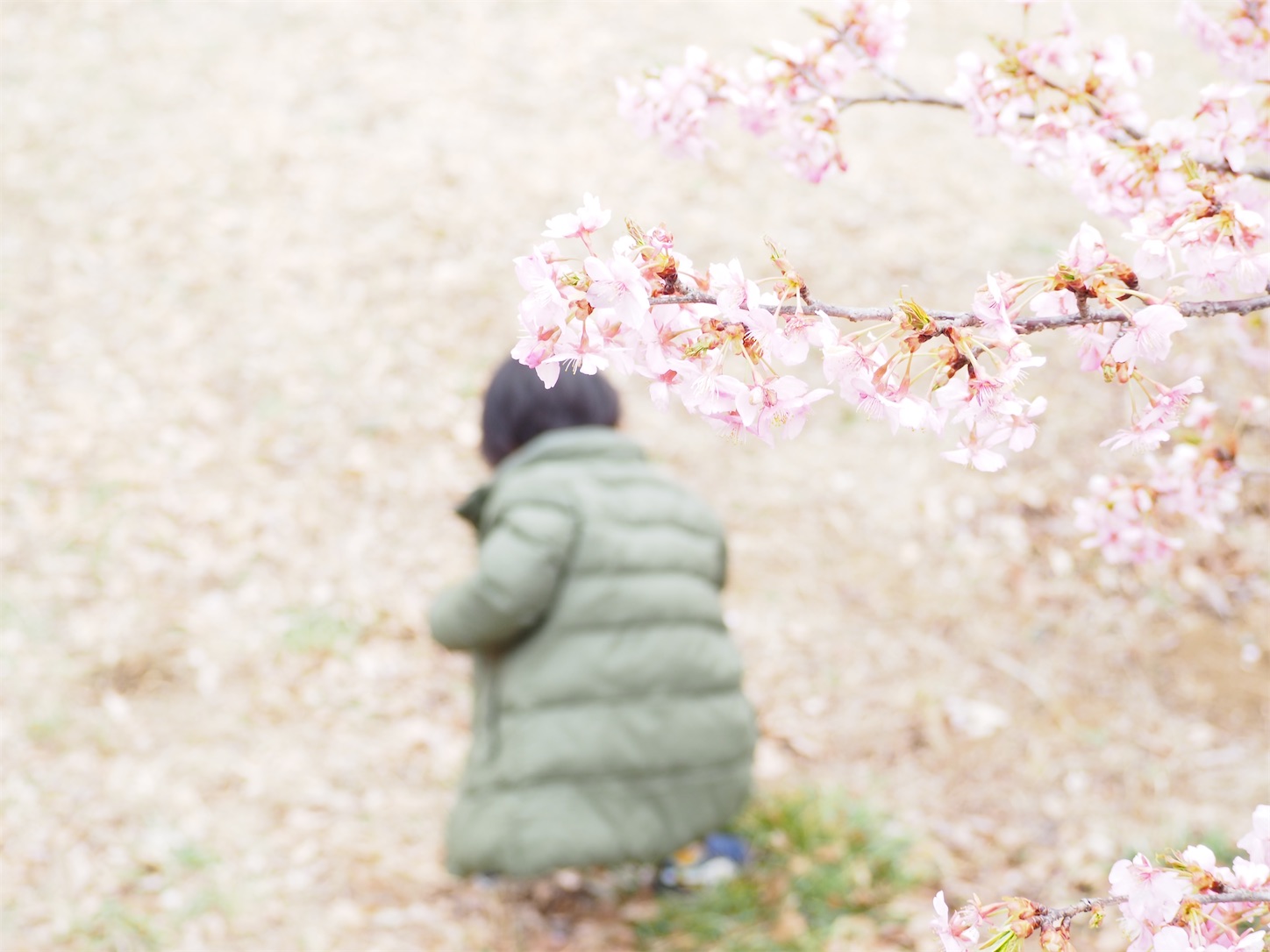 f:id:efufunet:20230409141031j:image