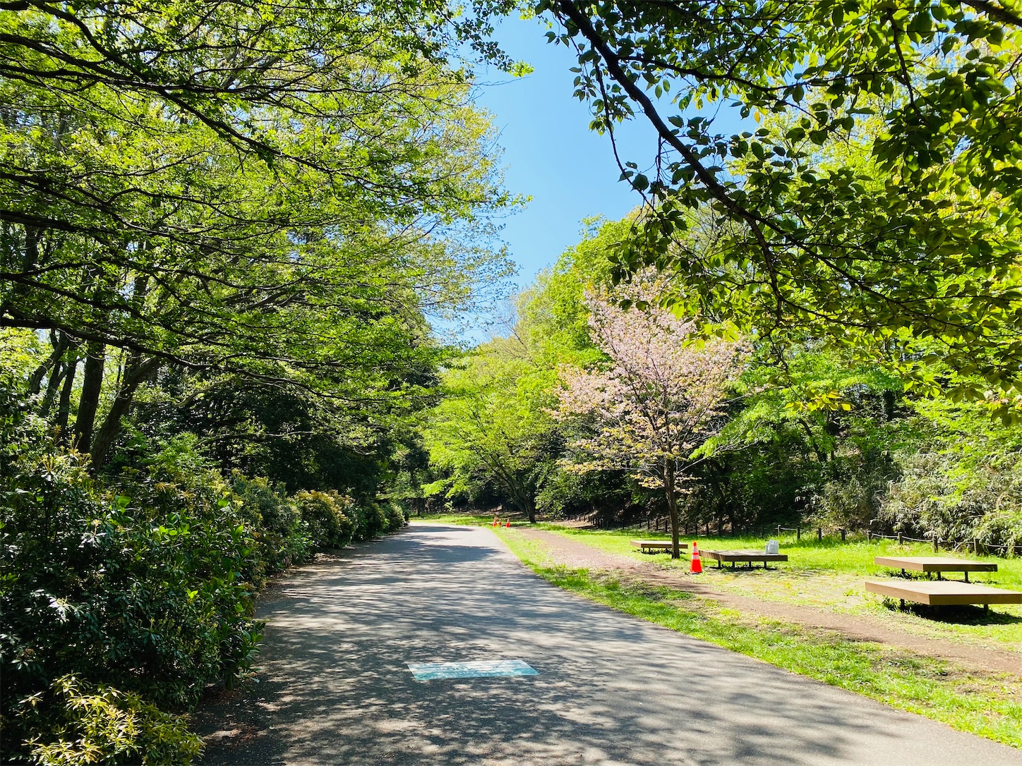 f:id:efufunet:20230409141135j:image