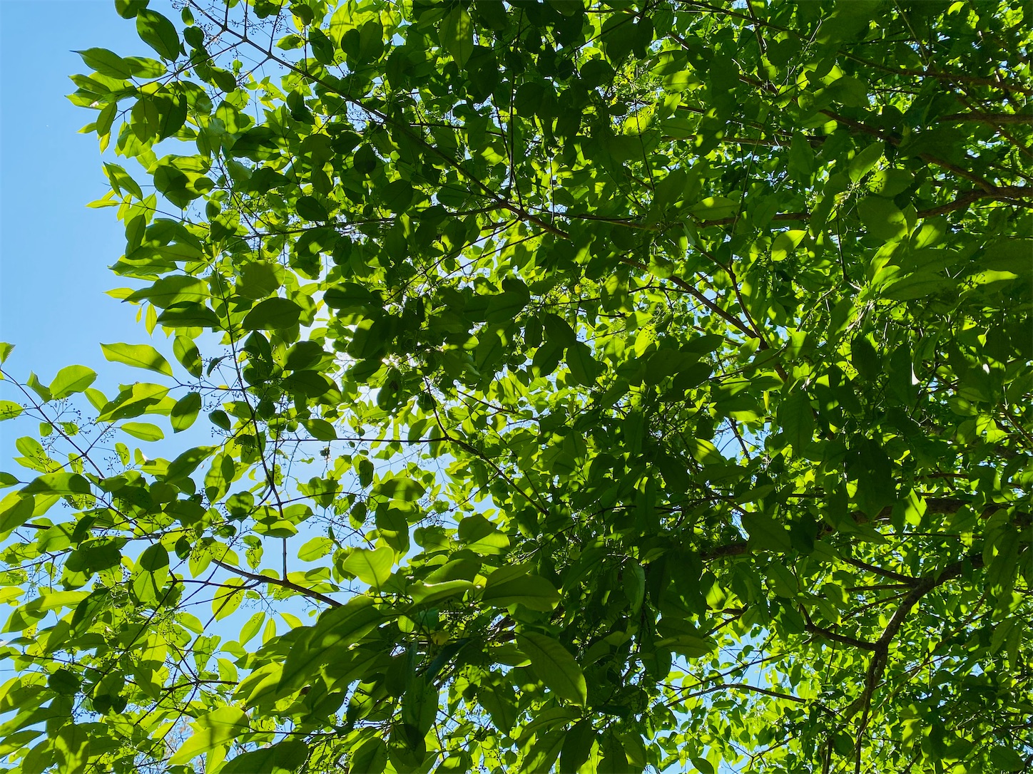 f:id:efufunet:20230409141604j:image