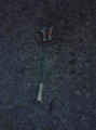 20100720121925