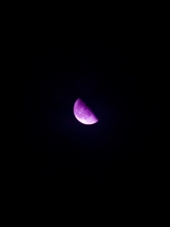 f:id:egao700:20161031080544j:image f:id:egao700:20161031080544j:image