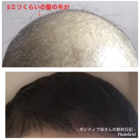 f:id:egao700:20180828174015j:image f:id:egao700:20180828174015j:image