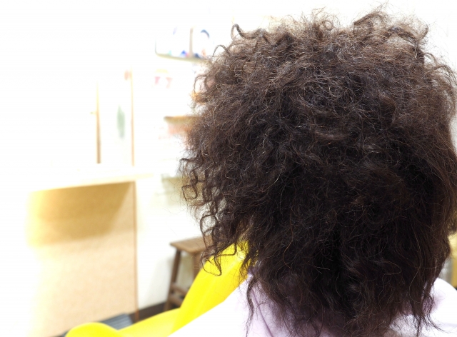 f:id:egao700:20200130124612j:plain f:id:egao700:20200130124612j:plain