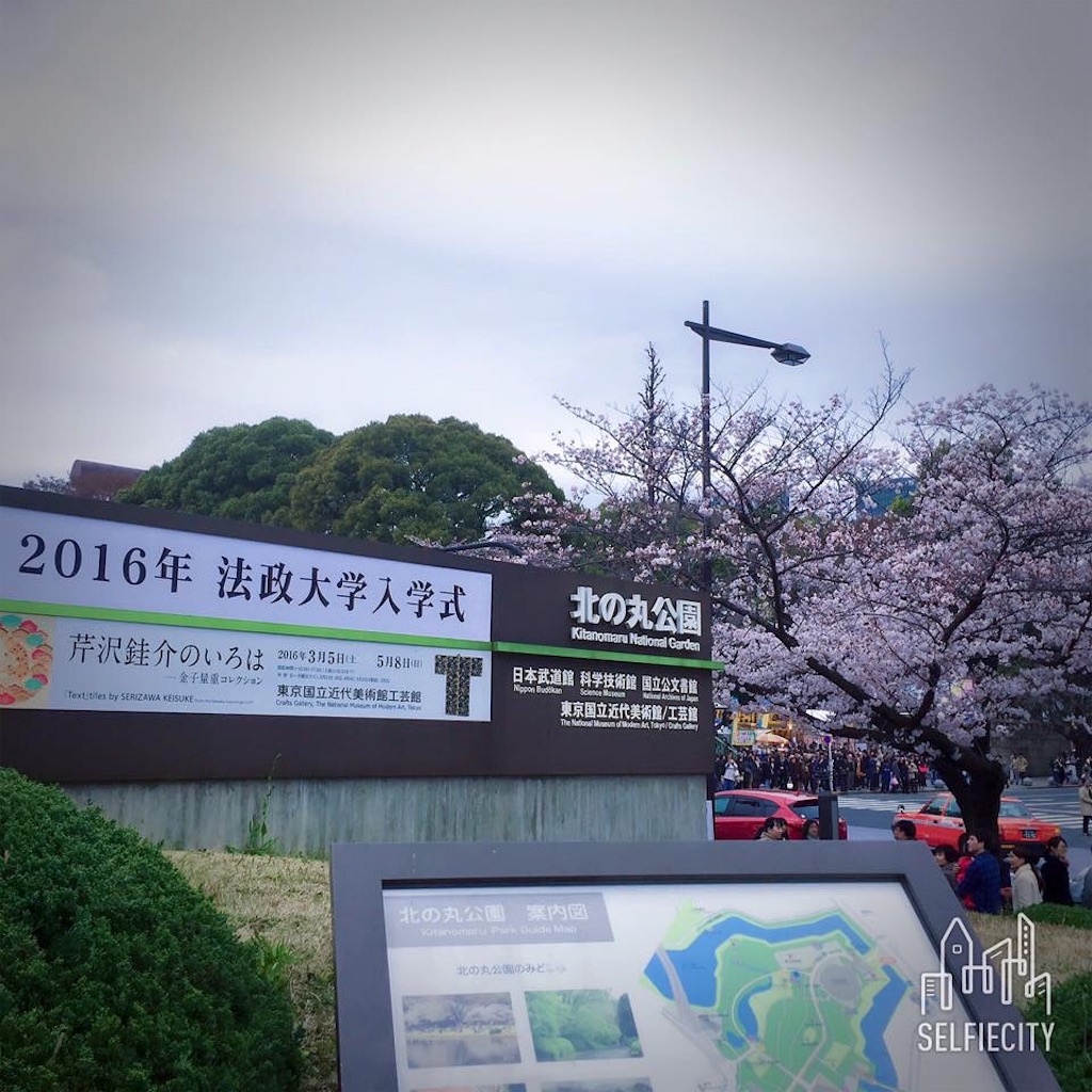 f:id:egao89:20200425183311j:image f:id:egao89:20200425183311j:image