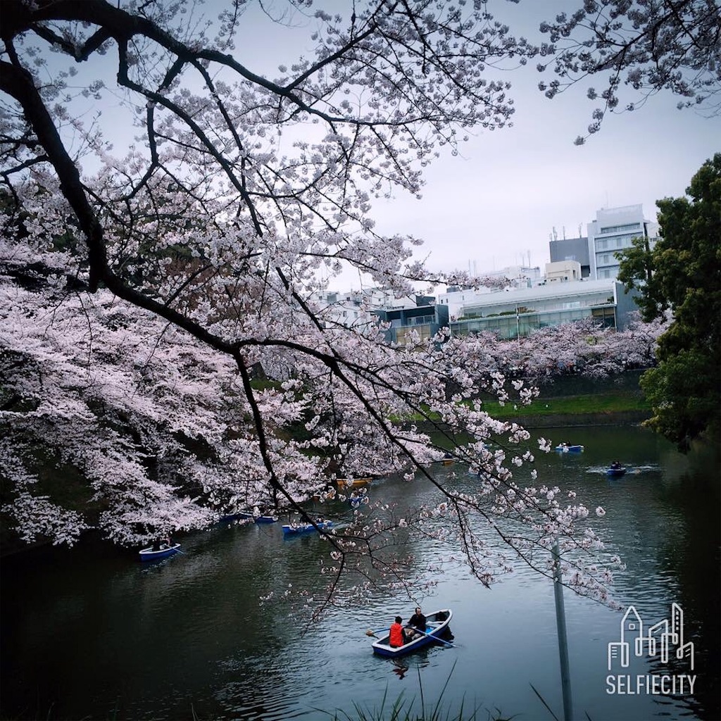 f:id:egao89:20200425183314j:image f:id:egao89:20200425183314j:image