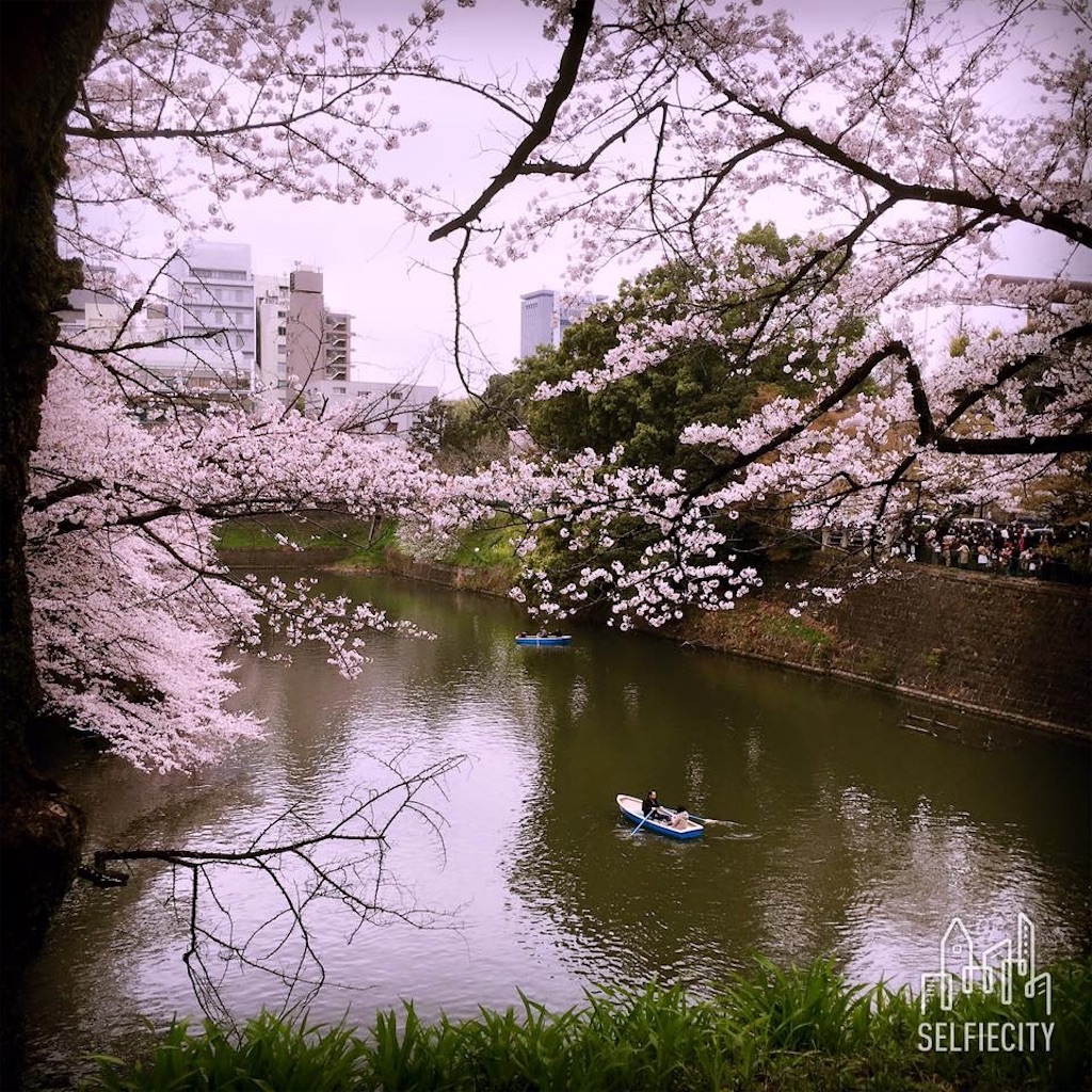 f:id:egao89:20200425183323j:image f:id:egao89:20200425183323j:image
