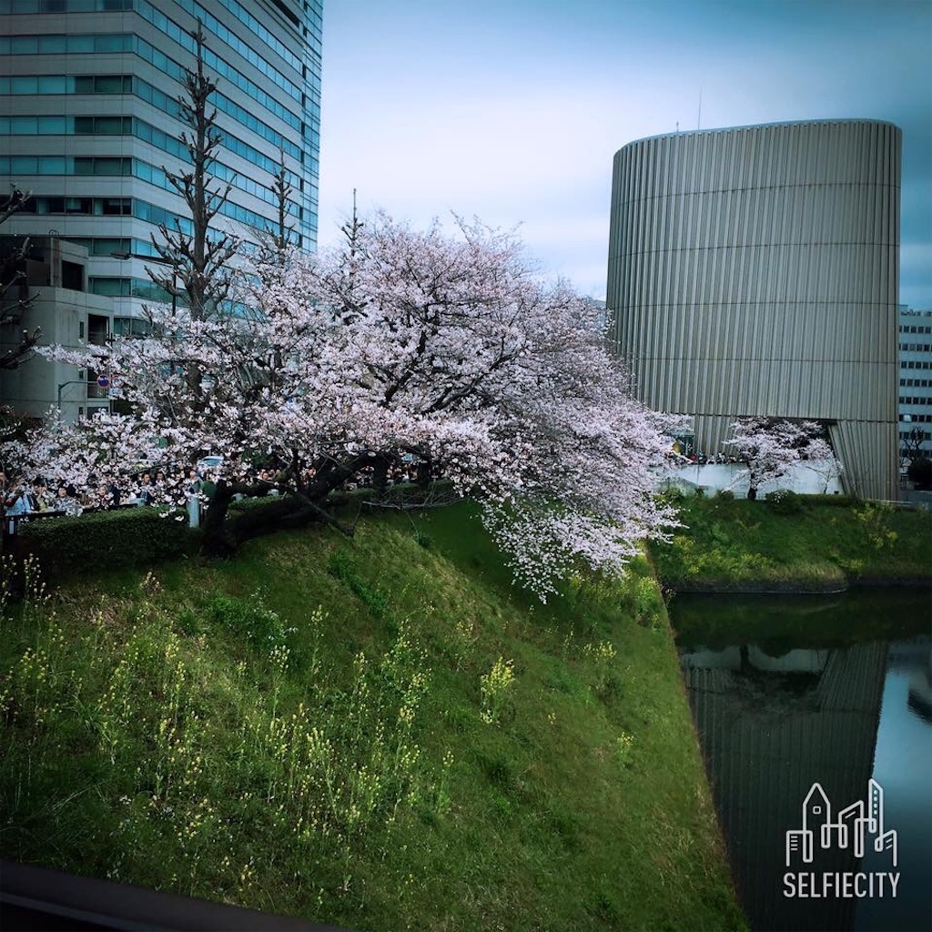 f:id:egao89:20200425183328j:image f:id:egao89:20200425183328j:image