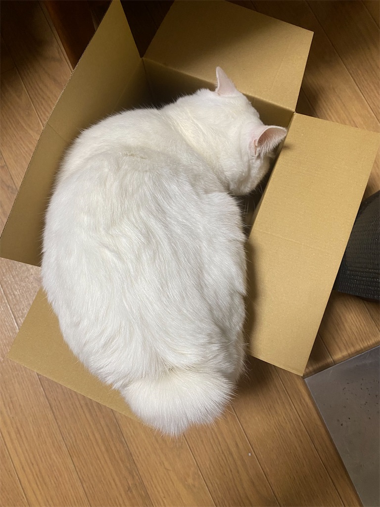 f:id:egaodegenki:20230605003545j:image