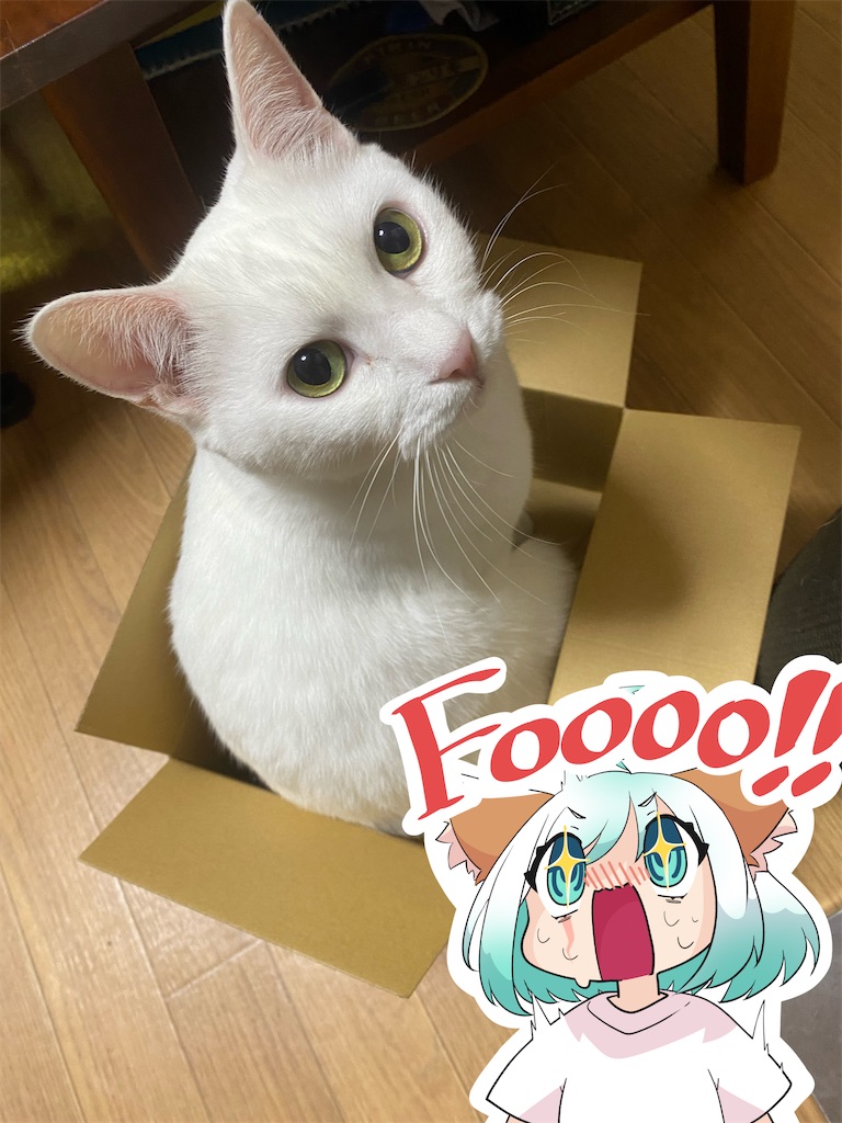 f:id:egaodegenki:20230605003647j:image