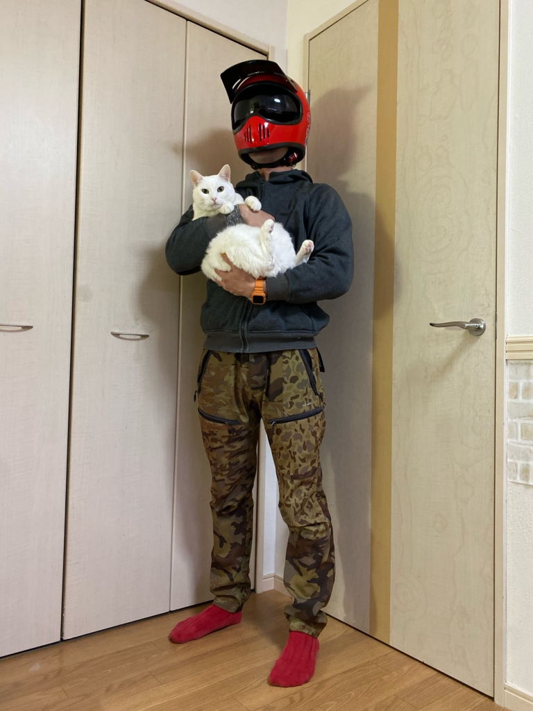 f:id:egaodegenki:20231114180120p:image