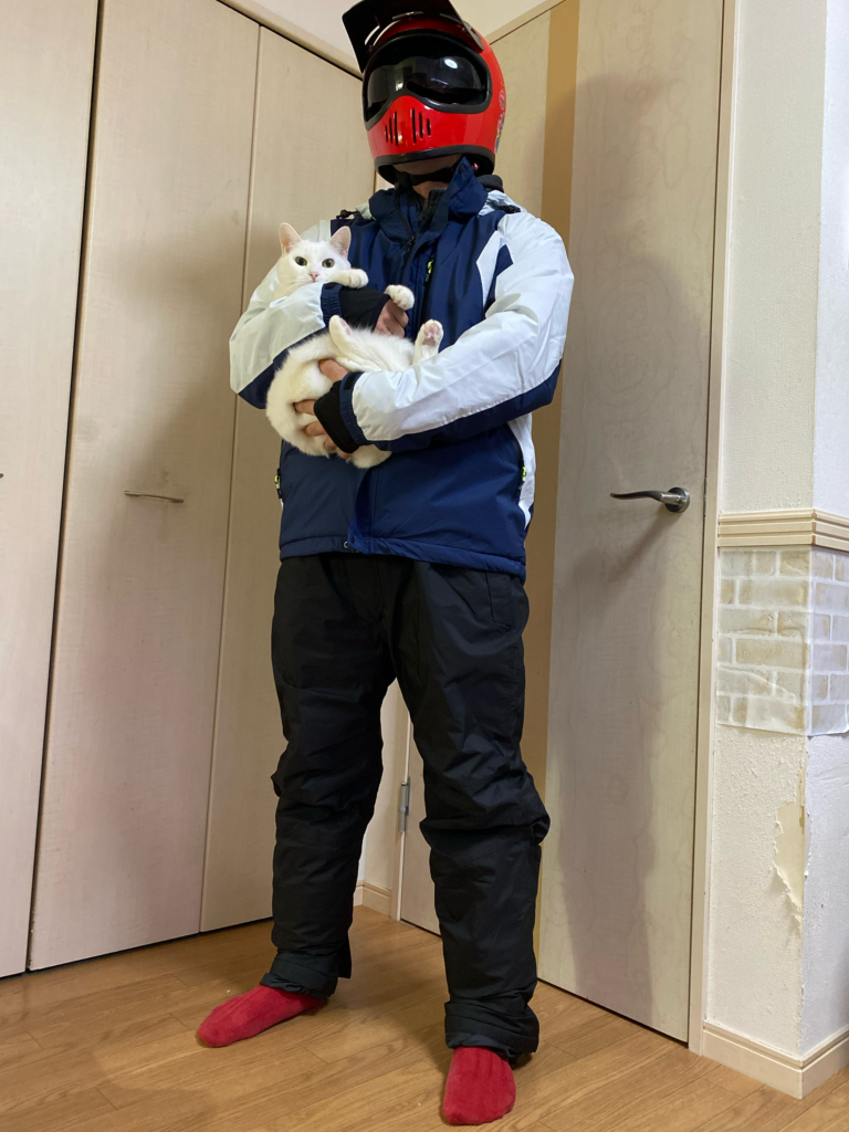 f:id:egaodegenki:20231114181002p:image