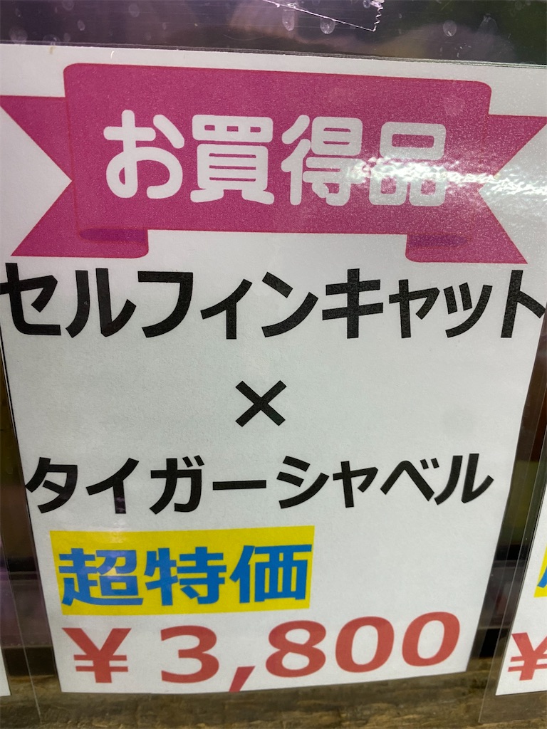 f:id:egaodegenki:20240325112651j:image f:id:egaodegenki:20240325112651j:image