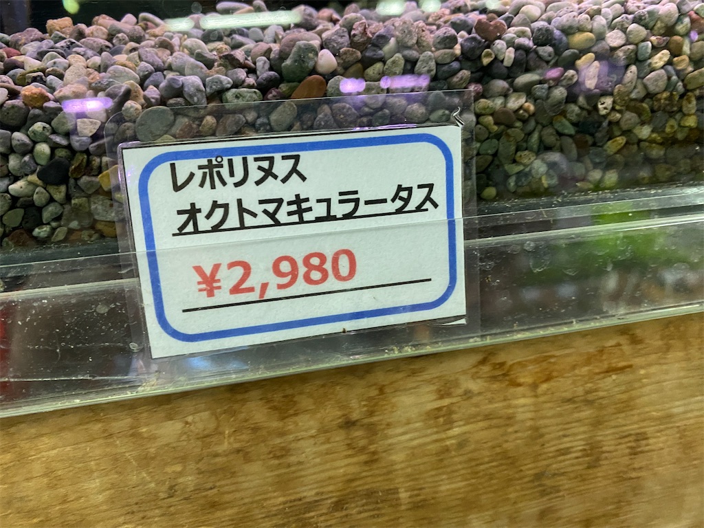 f:id:egaodegenki:20240325113113j:image f:id:egaodegenki:20240325113113j:image