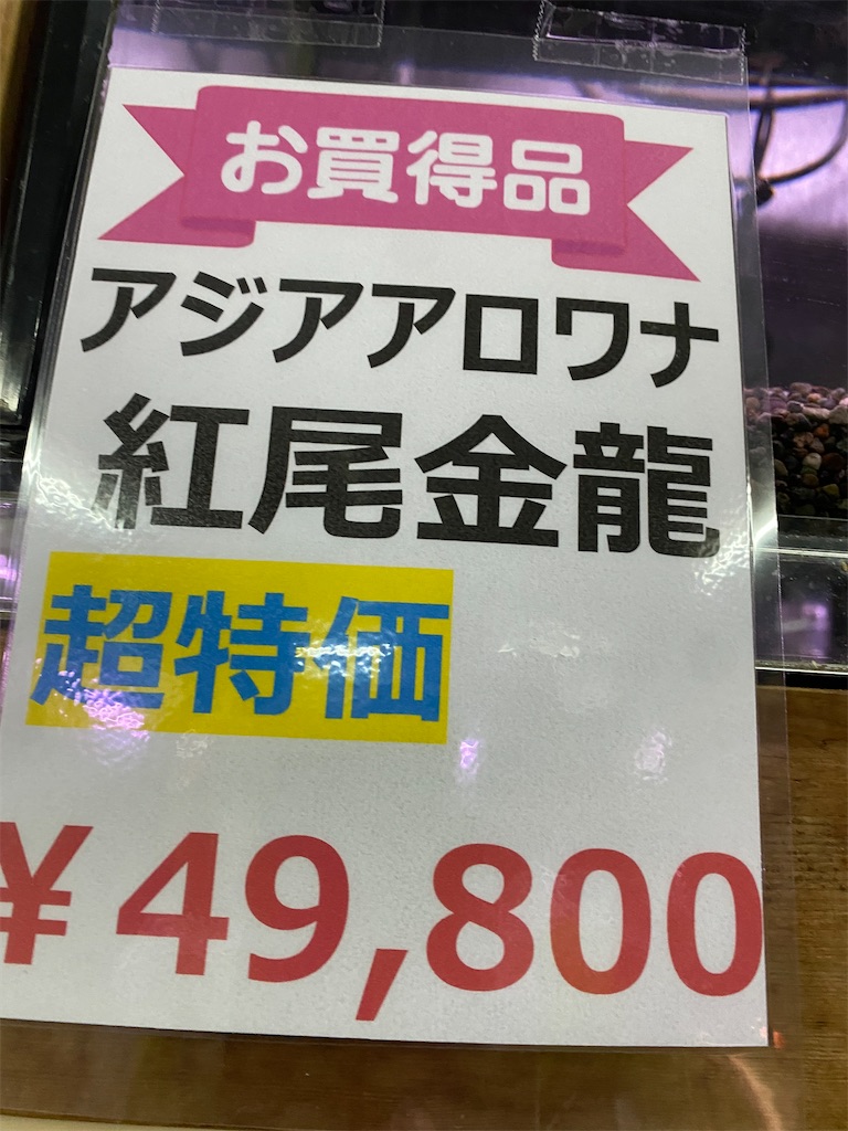 f:id:egaodegenki:20240325113210j:image f:id:egaodegenki:20240325113210j:image