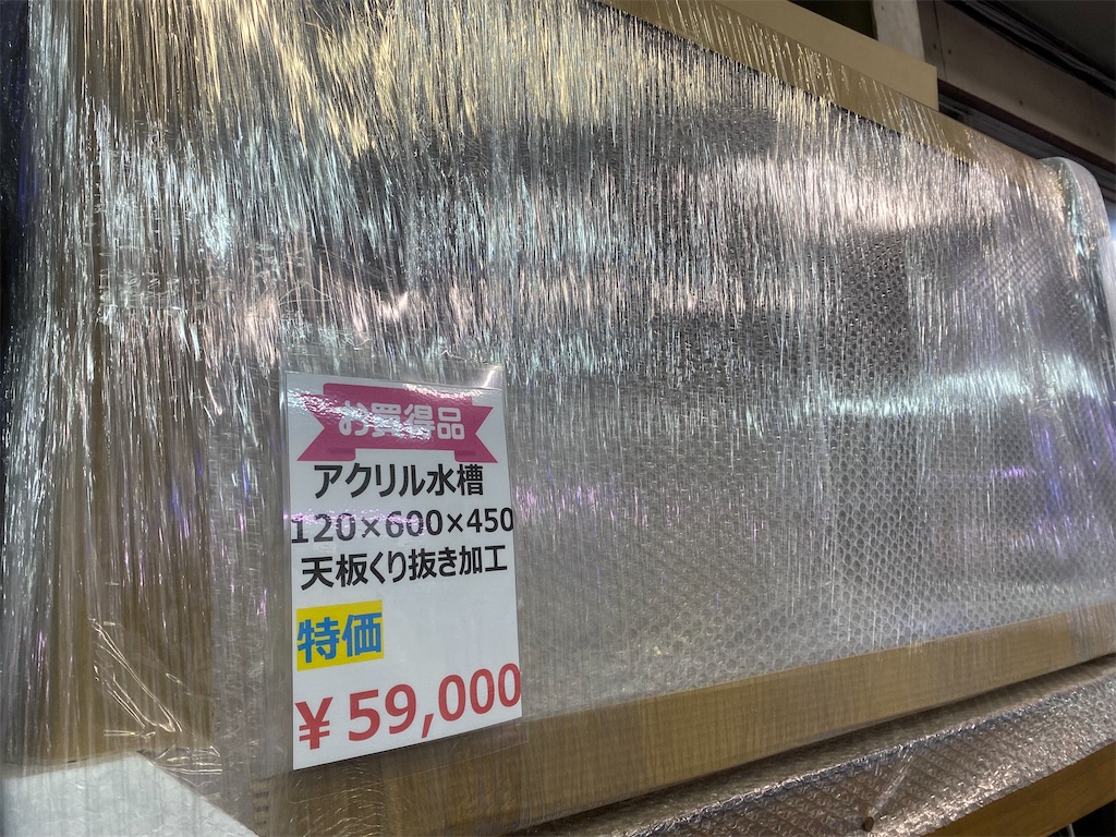 f:id:egaodegenki:20240325120006j:image f:id:egaodegenki:20240325120006j:image