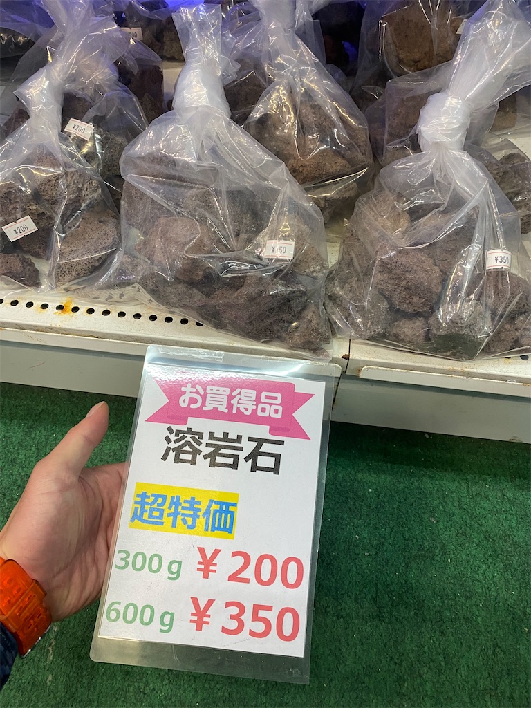 f:id:egaodegenki:20240610235525j:image