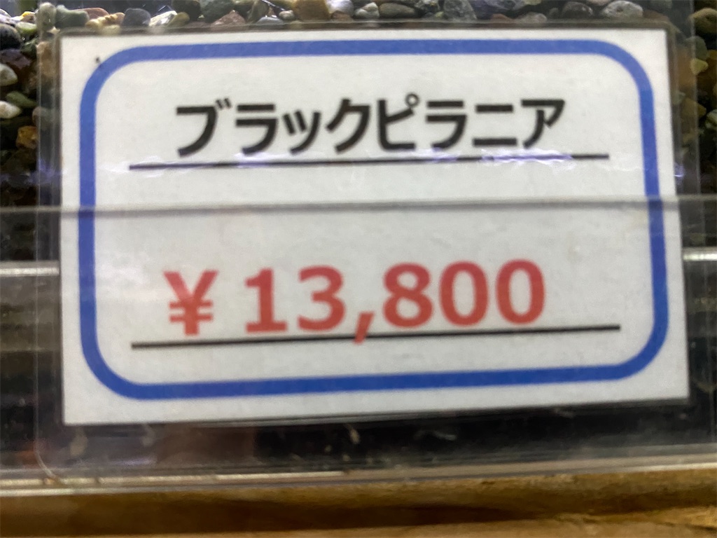 f:id:egaodegenki:20240625001909j:image