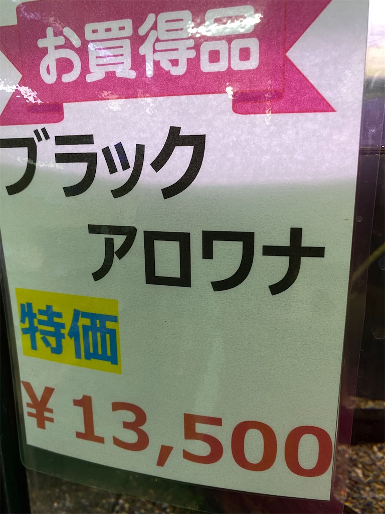 f:id:egaodegenki:20240625001928j:image